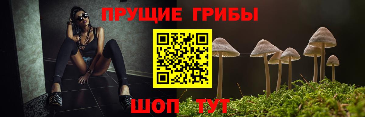 Псилоцибиновые грибы мухоморы Бугуруслан